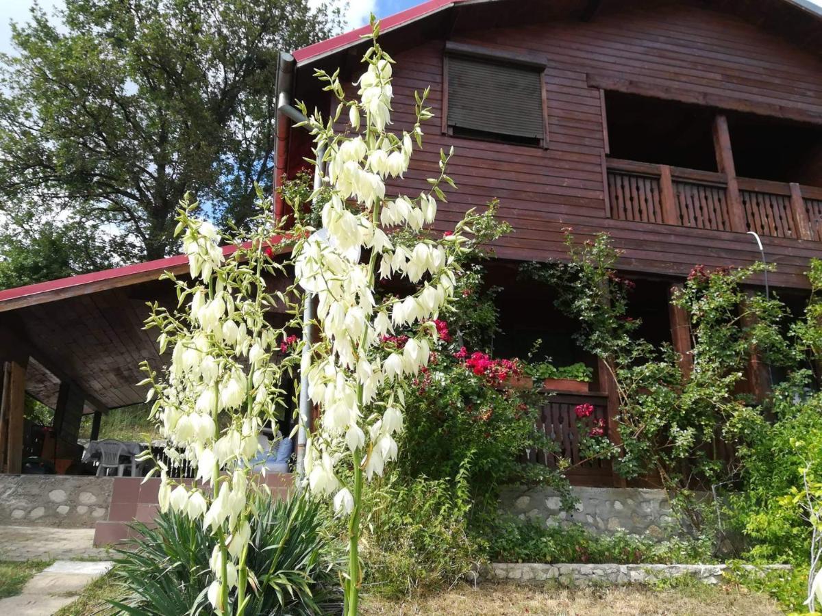 Casa Melania Villa Eselnita Exterior photo